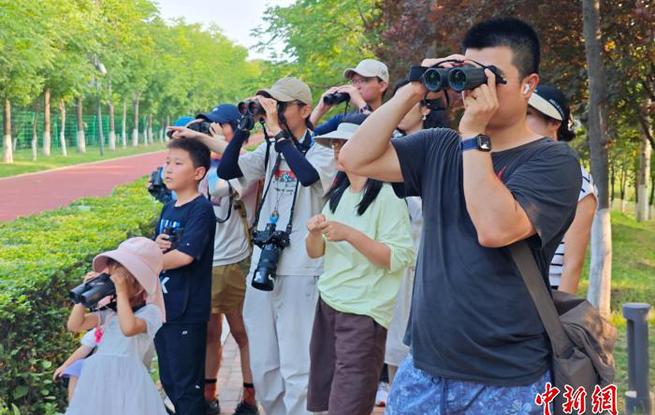 从“闻声”到“识鸟”：西安都市青年解码“自然密语”